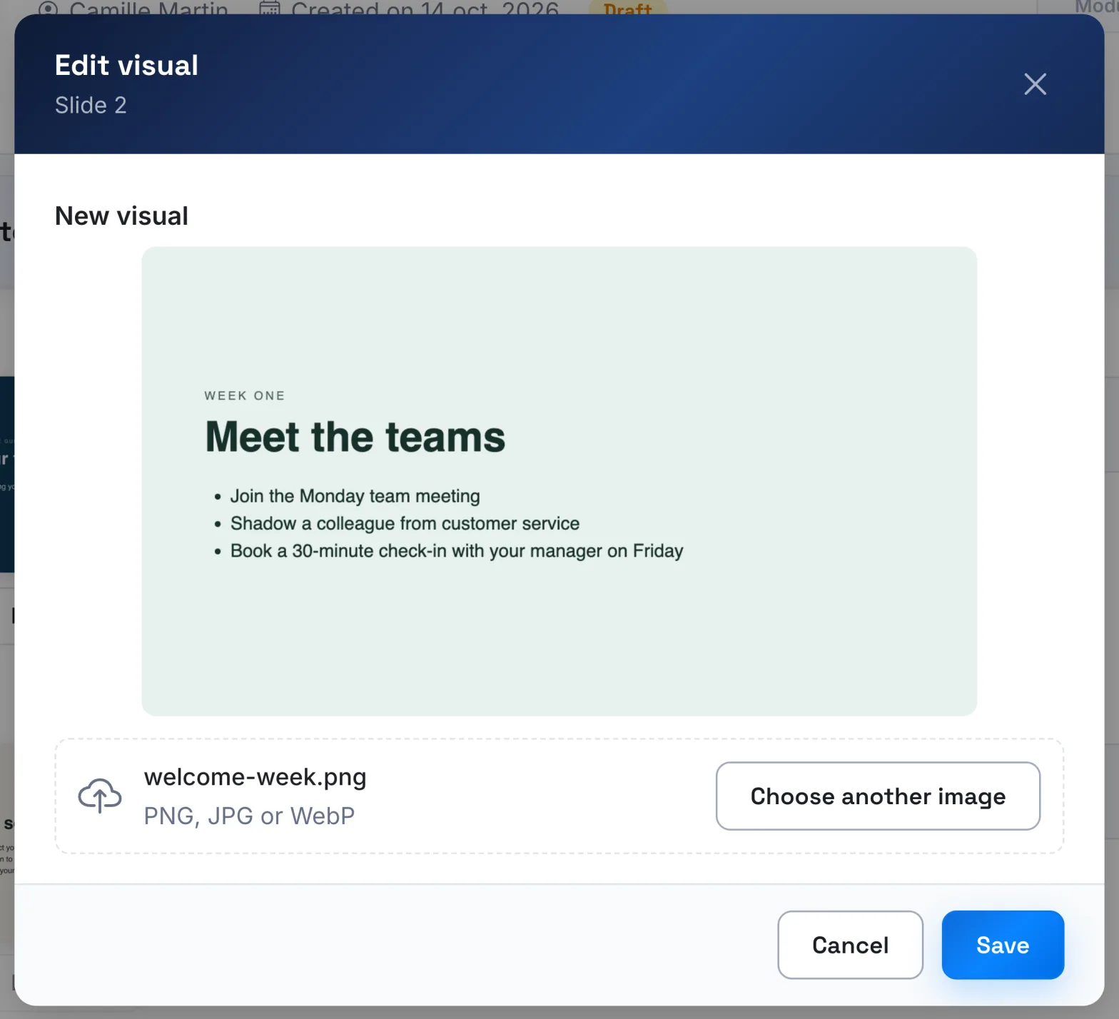 The Edit visual window in image replacement mode